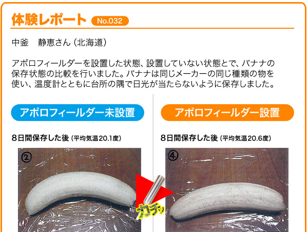 ���q�l�̑̌����|�[�g