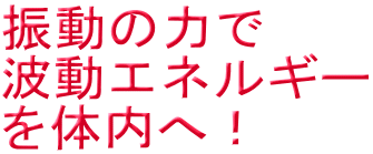 振動の力で 波動エネルギー を体内へ!