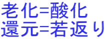 老化=酸化 還元=若返り