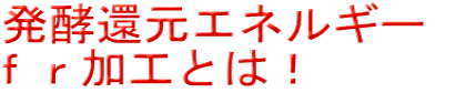 発酵還元エネルギー fr加工とは!